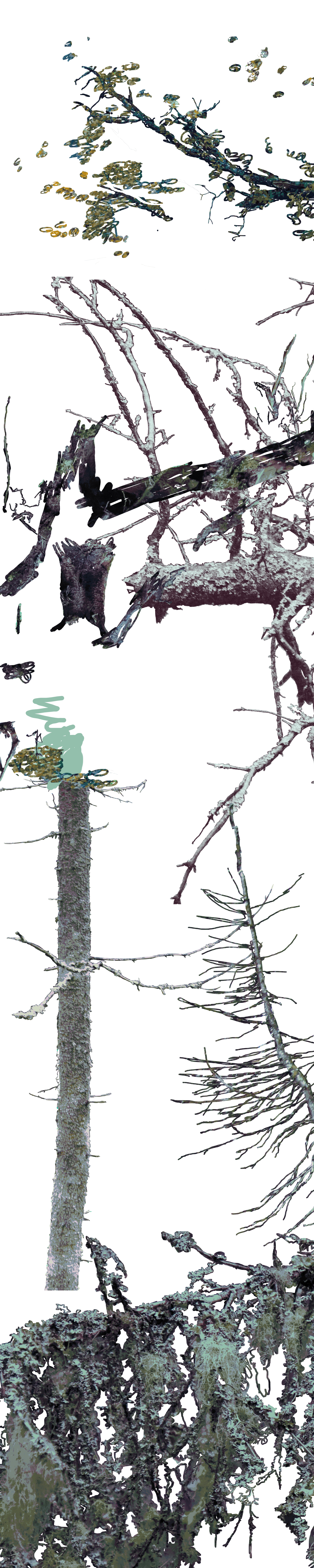 Layer 3